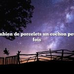 Question : Combien de porcelets un cochon peut-il avoir à la fois